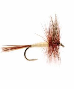 Pacemakerco.shop8e46cb9a26 1