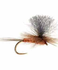 Pacemakerco.shop9178bd0a93 1