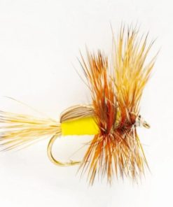 Pacemakerco.shop9581c9219b 1