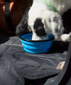 Pacemakerco.shop96813e862e 2