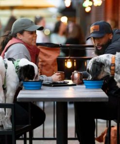 Pacemakerco.shop96813e862e 3