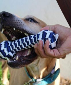 Pacemakerco.shop9954a351e6 2