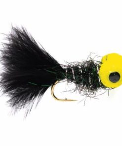 Pacemakerco.shop9ae37ea57a 1