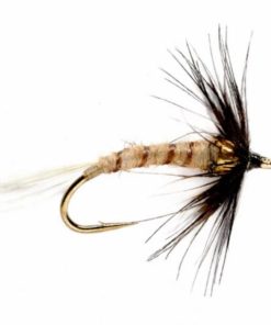 Pacemakerco.shop9b4472b97e 1