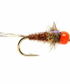 Pacemakerco.shop9d0c0cd141 1