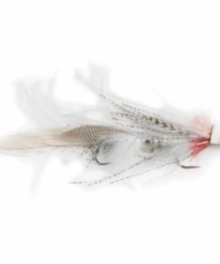 Pacemakerco.shop9d15240425 1