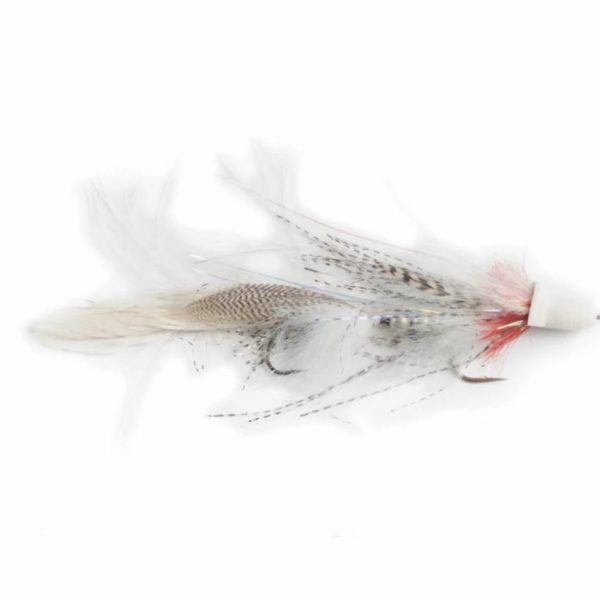 Pacemakerco.shop9d15240425 1