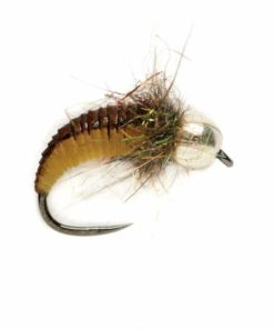 Pacemakerco.shop9f2f82d96e 1