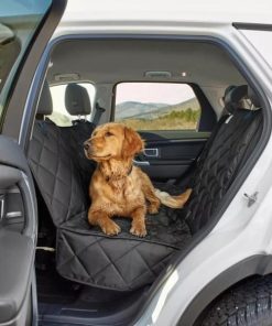 Pacemakerco.shopa013e112f0 1