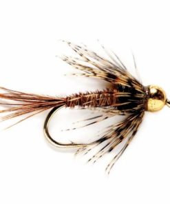 Pacemakerco.shopa3a1a985d3 1