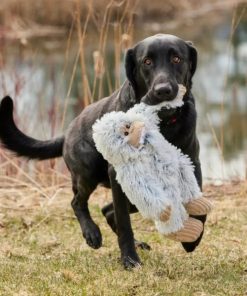 Pacemakerco.shopa3de2471a7 2