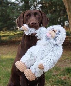 Pacemakerco.shopa3de2471a7 3