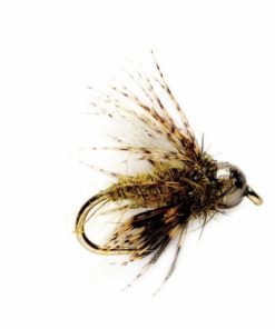 Pacemakerco.shopa4146a4617 1