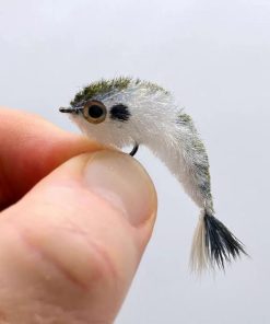 Pacemakerco.shopa64aadef64 1