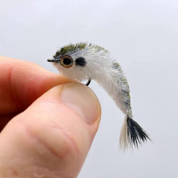 Pacemakerco.shopa64aadef64 1