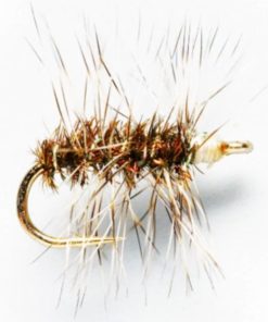 Pacemakerco.shopa7ee70913b 1