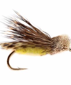 Pacemakerco.shopa7f8c3cfbc 1