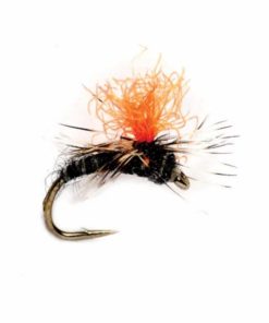 Pacemakerco.shopab002a67a8 1