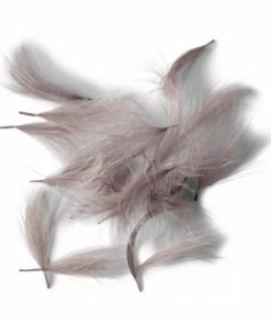 Pacemakerco.shopabbb953a1d 1