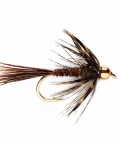 Pacemakerco.shopaf11ca73d6 1