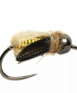 Pacemakerco.shopaf3a644ca5 1