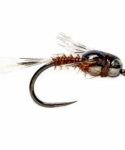 Pacemakerco.shopafe343fe9d 1