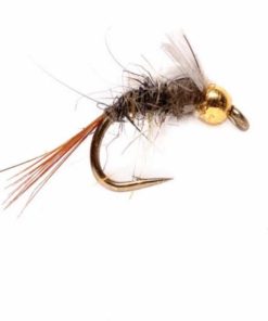 Pacemakerco.shopb00189e9c0 1