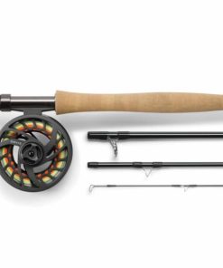 Pacemakerco.shopb039434c3f 2