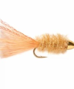 Pacemakerco.shopb1cd17acf0 1