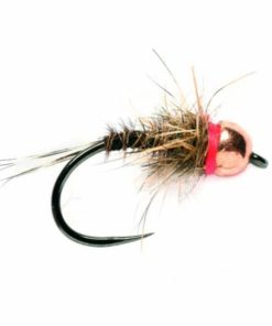 Pacemakerco.shopb290a326c4 1