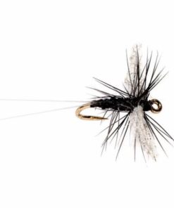 Pacemakerco.shopb48768b030 1