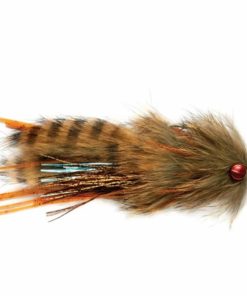 Pacemakerco.shopb49bb9083a 1