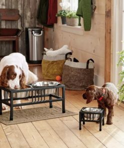 Pacemakerco.shopb75cbc22fe 1