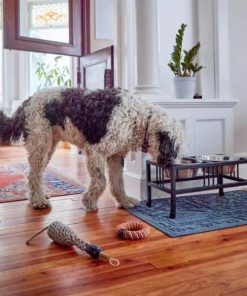 Pacemakerco.shopb75cbc22fe 2