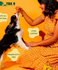 Pacemakerco.shopb76946a2fc 3