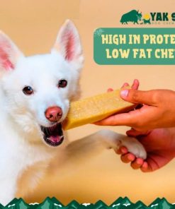 Pacemakerco.shopb76946a2fc 5