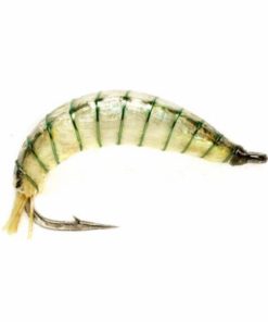 Pacemakerco.shopb7c64cbff4 1