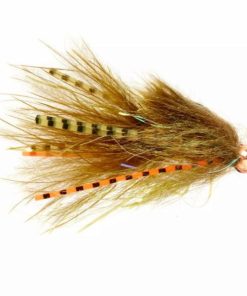 Pacemakerco.shopb7e28599ca 1