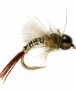 Pacemakerco.shopb968137b79 1