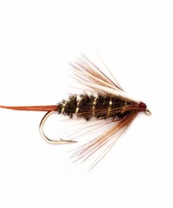 Pacemakerco.shopb9ace01371 1