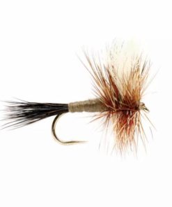 Pacemakerco.shopb9b13b93b7 1