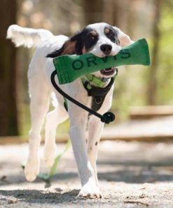 Pacemakerco.shopba61eb2295 2