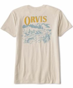 Pacemakerco.shopbaa3943ead 1