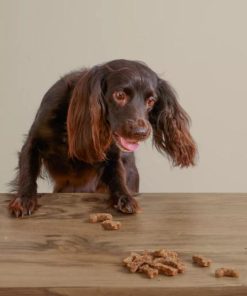 Pacemakerco.shopbd397cd400 2