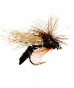 Pacemakerco.shopbe5d7e2e6a 1