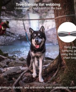 Pacemakerco.shopbef081e1af 3