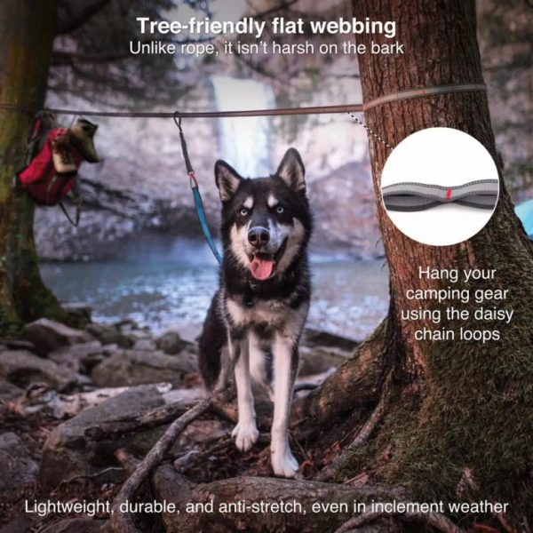 Pacemakerco.shopbef081e1af 3