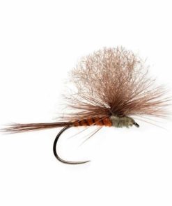 Pacemakerco.shopc0e7346e64 1