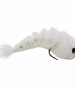 Pacemakerco.shopc158c181ed 1