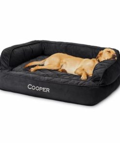 Pacemakerco.shopc1d35caab4 1